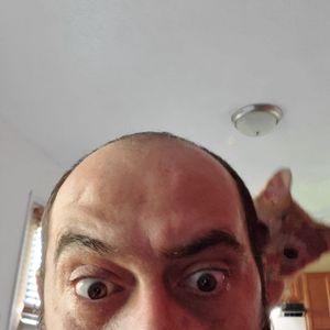 Meet your Posher, Roman